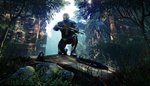 Related Images: Crysis 3 Incoming for Spring 2013 News image