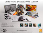 Guild Wars® 2 Now Live News image