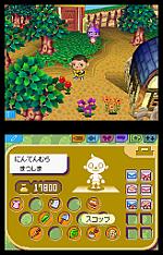 Related Images: Exclusive new Animal Crossing DS screens News image