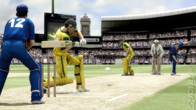Cricket Screen
