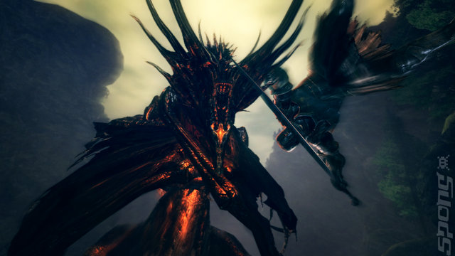 Dark Souls: Prepare to Die Edition - PC Screen