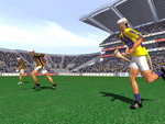 Gaelic Games: Hurling - PS2 Screen