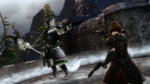 Guild Wars 2 - PC Screen