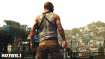 Related Images: Take-Two Delays Max Payne 3, Reports Losses News image