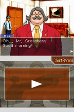 Phoenix Wright Ace Attorney: Trials and Tribulations - DS/DSi Screen
