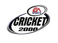 Cricket 2000 - PlayStation Artwork