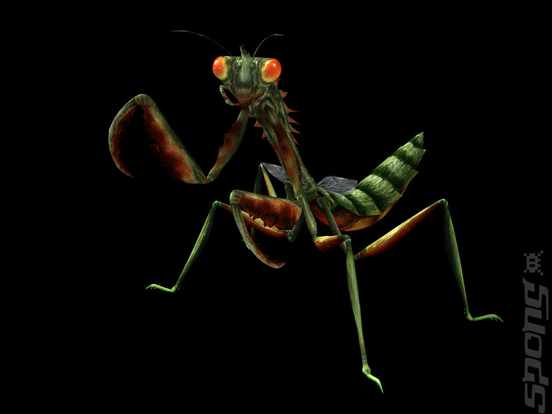 Escape From Bug Island - Wii Artwork