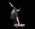 Evolution Skateboarding - GameCube Artwork