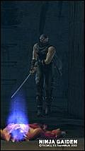 Ninja Gaiden - Xbox Artwork