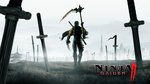 Ninja Gaiden 2 - Xbox 360 Artwork