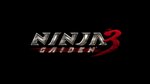 Ninja Gaiden 3 - PS3 Artwork