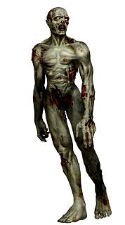 Resident Evil: Code Veronica - GameCube Artwork