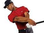 Tiger Woods PGA Tour 06 - Xbox Artwork