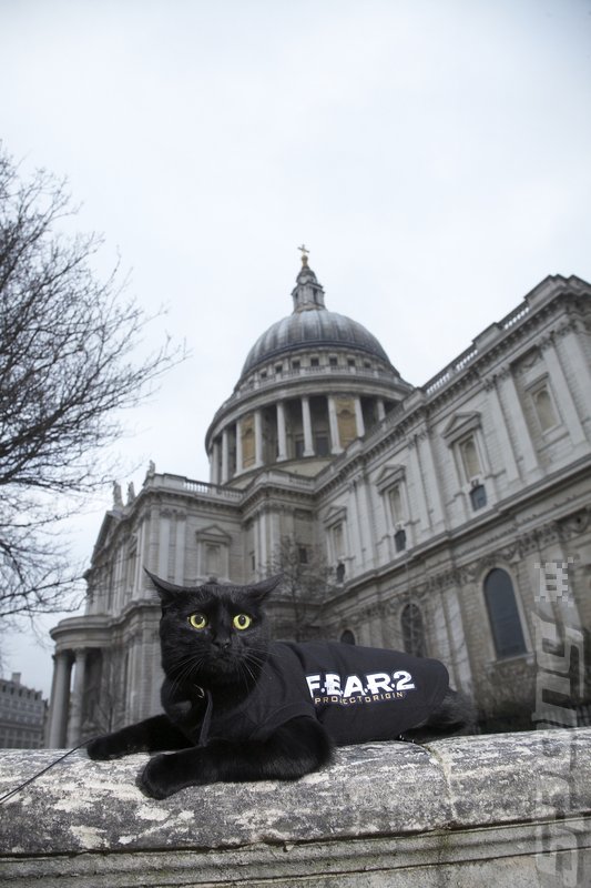 Daft Game Photo Alert: FEAR 2 Pussies News image