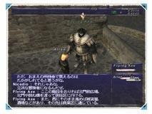 Incredible Final Fantasy XI details and screens! Race, play system and game world chronicled! News image