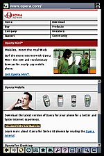 Opera Web Browser on Nintendo DS - Pictures News image