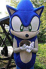 Related Images: Sonic Team new project: Project Hedgehog Rescue! News image