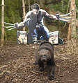 Wolverine vs Wolverine: Weirdest Marketing Ever? News image