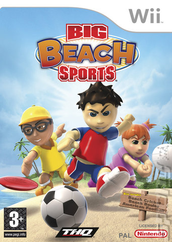 Big Beach Sports - Wii Cover & Box Art