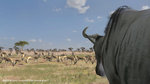 Afrika - PS3 Screen