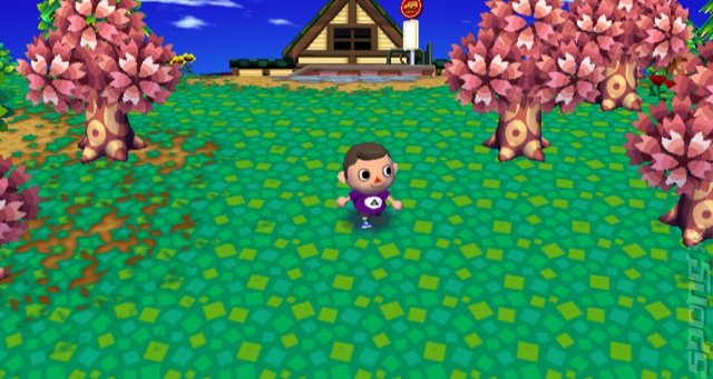 Animal Crossing Wii Screen Deluge News image