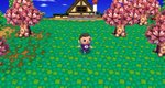 Animal Crossing Wii Screen Deluge News image