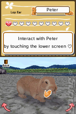 Animal Paradise - DS/DSi Screen