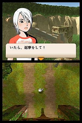 Range of Titles Prompts DS Jap-Jealousy News image