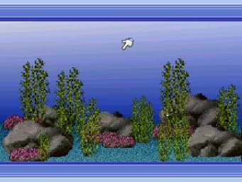 Aquarium - PC Screen