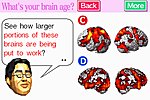Dr Kawashima's Brain Training: How Old Is Your Brain? - DS/DSi Screen