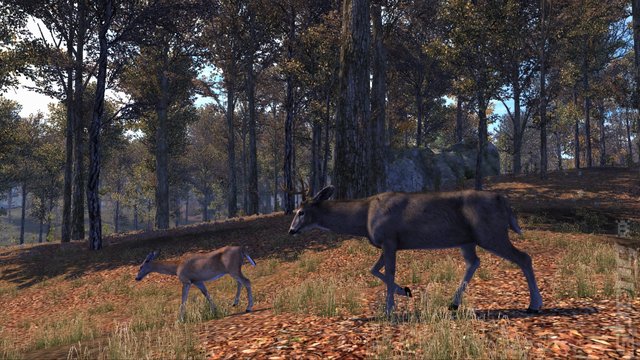 Cabela's Big Game Hunter: Pro Hunts - PS3 Screen