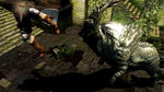 Gamescom 2011: Dark Souls Editorial image