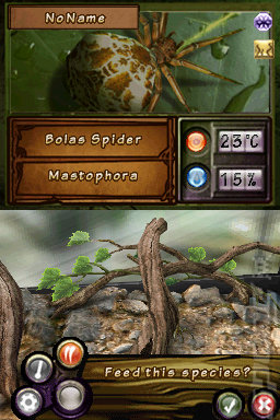Discovery Kids: Spider Quest - DS/DSi Screen