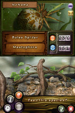 Discovery Kids: Spider Quest - DS/DSi Screen