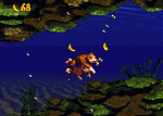 Donkey Kong Country - SNES Screen