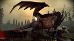 Dragon Age Origins - PS3 Screen