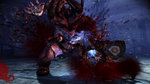 Dragon Age Origins - PC Screen