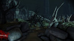 Dragon Age Origins: Awakening - PC Screen