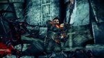 Dragon Age Origins: Awakening - PC Screen