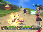 Dragon Quest Swords: The Masked Queen and the Tower of Mirrors - Wii Screen