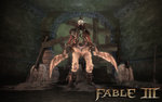 Fable III - PC Screen