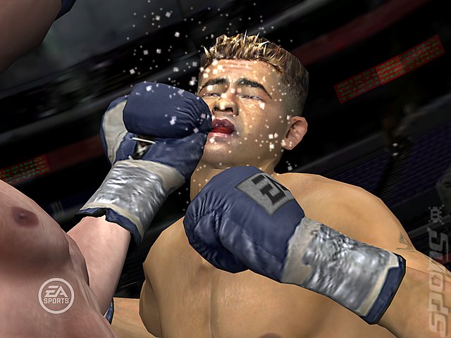 Fight Night Round 3 - PS2 Screen