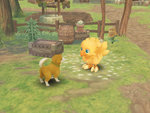 Final Fantasy Fables: Chocobo's Dungeon - Wii Screen