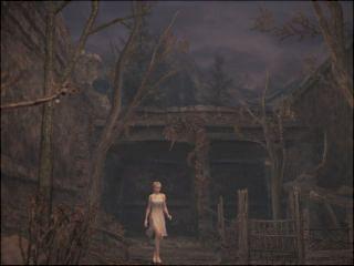 Haunting Ground - PS2 Screen