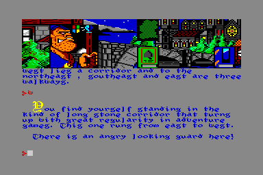 Hunchback: The Adventure - C64 Screen