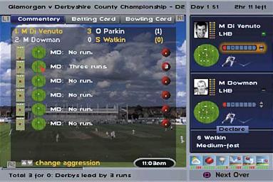 International Cricket Captain 2002 - PlayStation Screen
