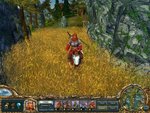 King’s Bounty: Warriors of the North - PC Screen