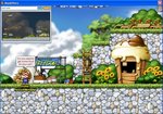 Pets Win Prizes In Maplestory Europe  News image