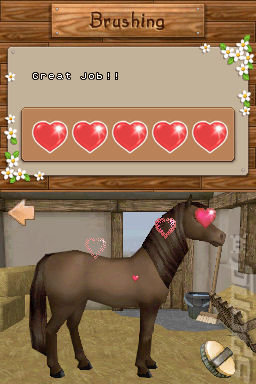 Mary King's Riding School - DS/DSi Screen