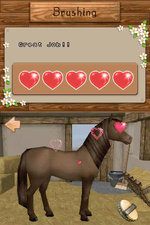 Mary King's Riding School - DS/DSi Screen